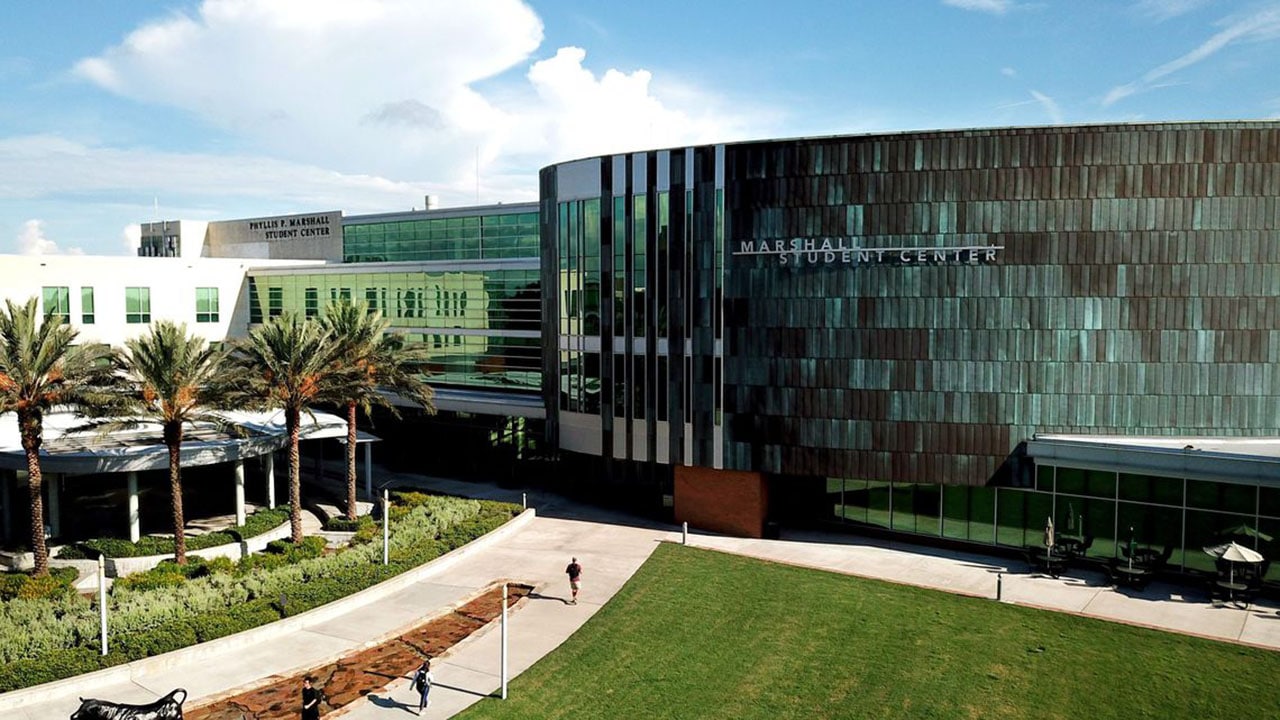 Thông tin University of South Florida: ngành học, học phí, đánh giá 1
